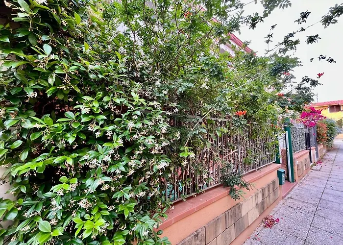 Teresa By La Via Del Mare Viaggi E Vacanze Villasimius